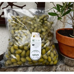 Olives picholines nature 2,5Kg