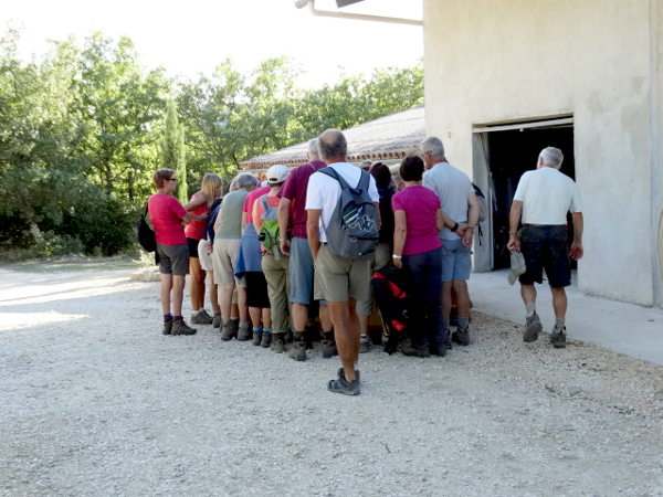 Visite de la ferme