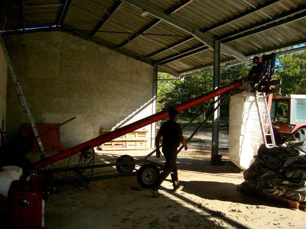 La production des amandes